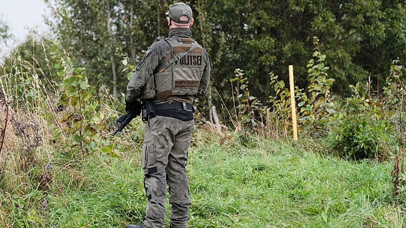 Eastern Flank Commissioners urge von der Leyen to appoint special coordinator as Russian threat grows
