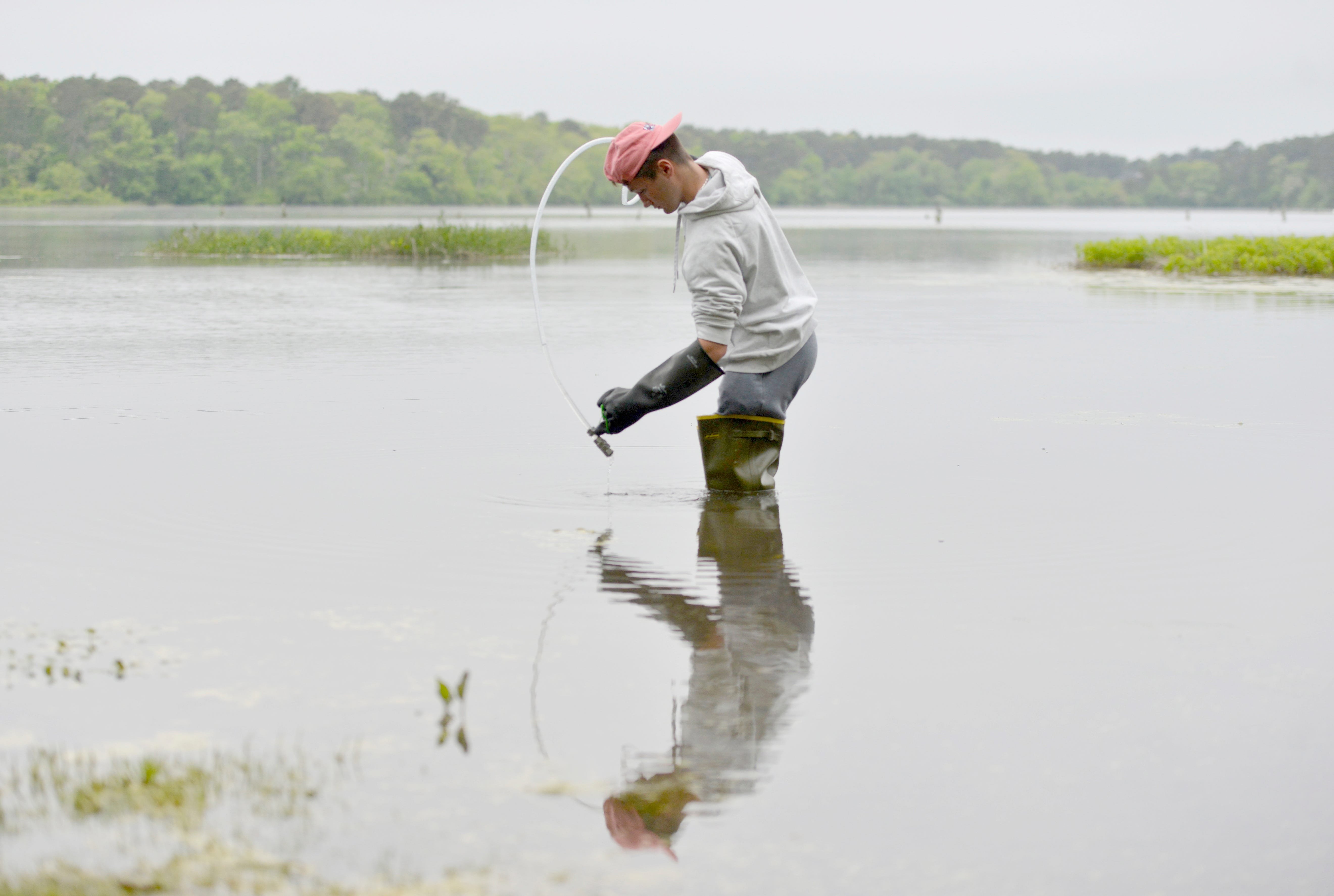 Where not to swim on Cape Cod: 15 ponds with bacteria concerns - AOL