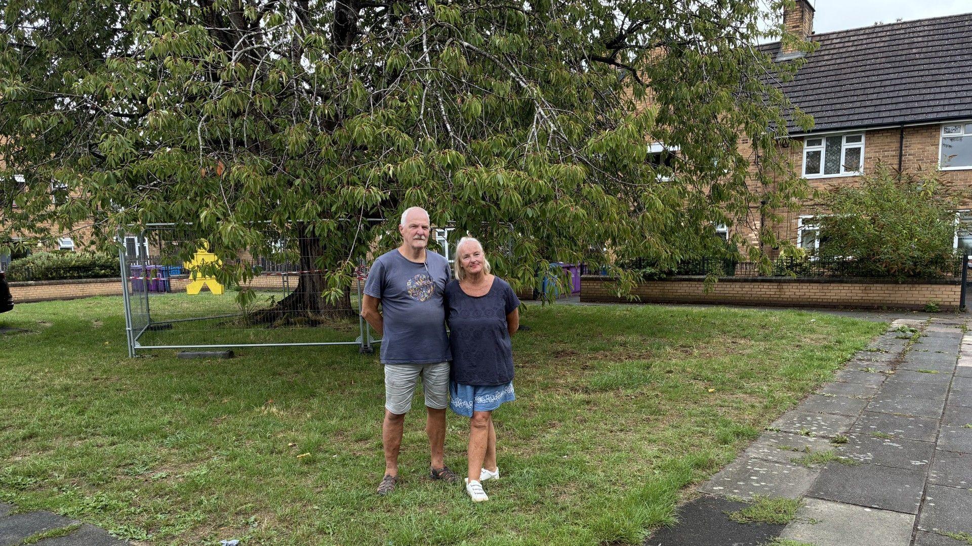 New Photo - Calls to save tree near Paul McCartney home