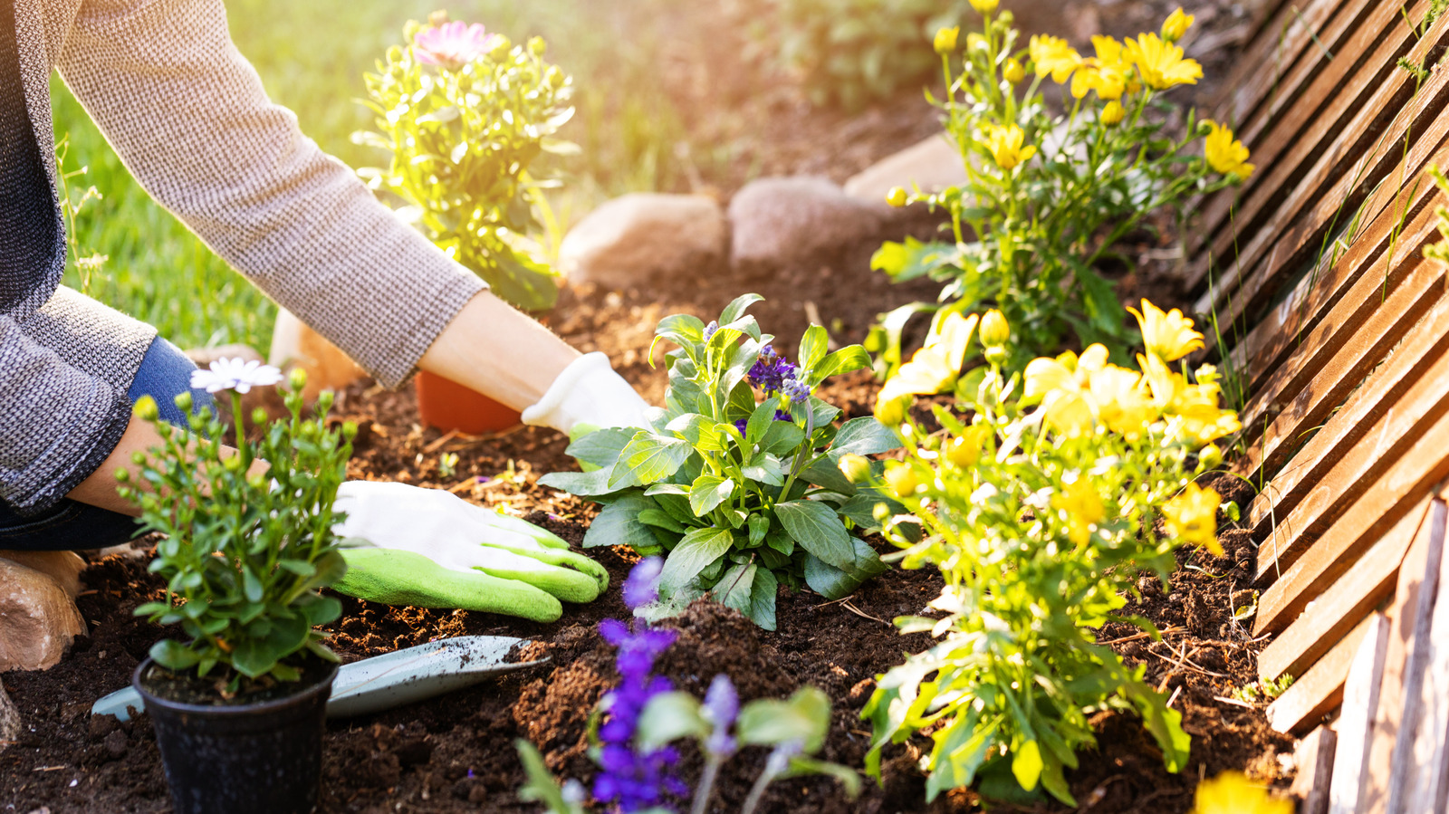 Move Over, Landscape Fabric: This Natural Alternative Blocks Weeds & Boosts Soil Health