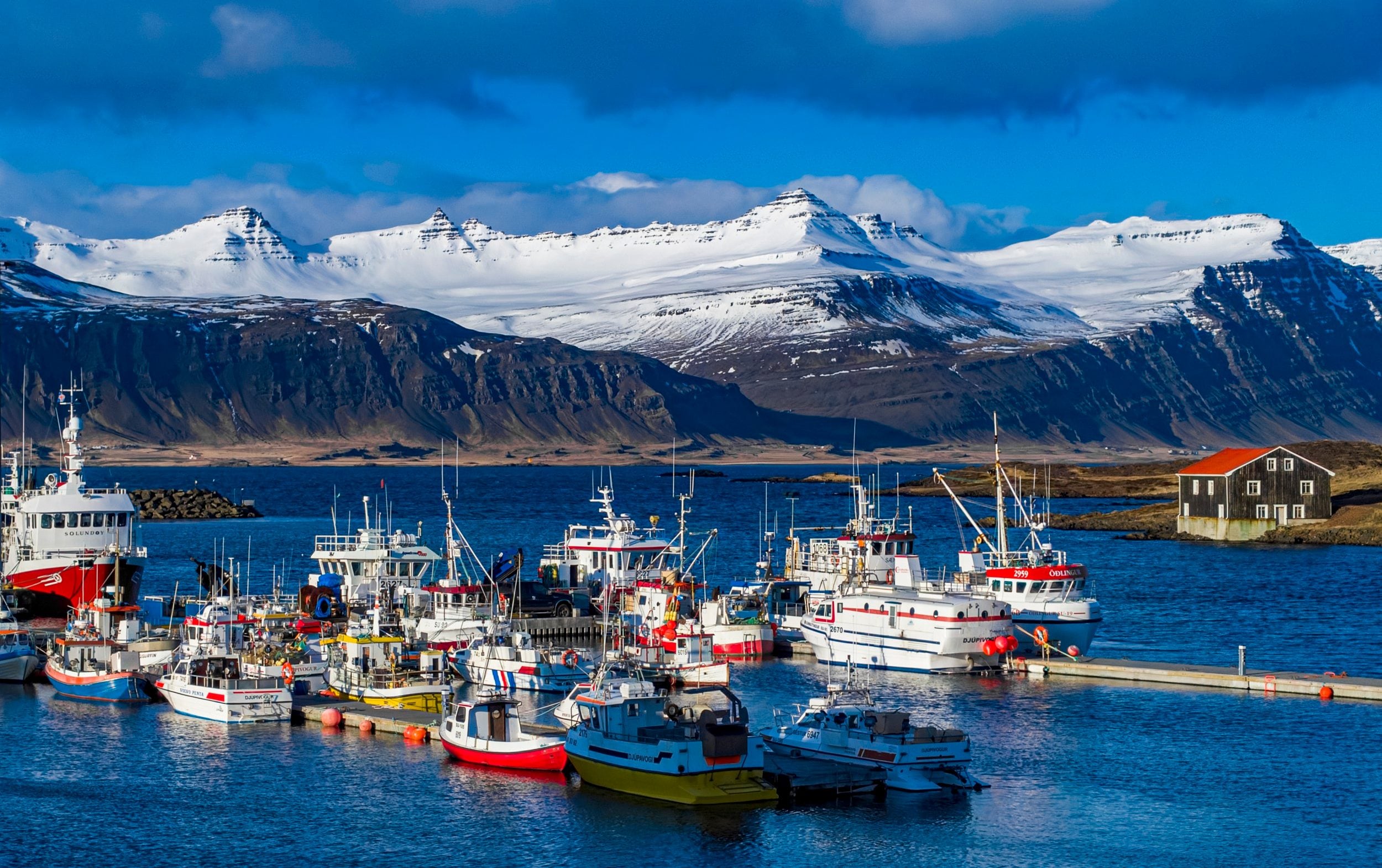 Iceland spurns EU – Britain's miserable fishermen were too cautionary a tale