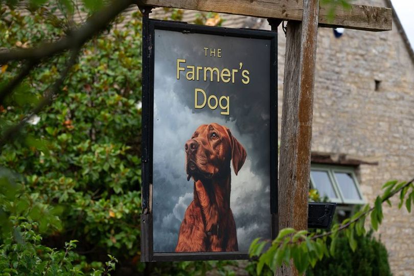 The Farmer's Dog sign