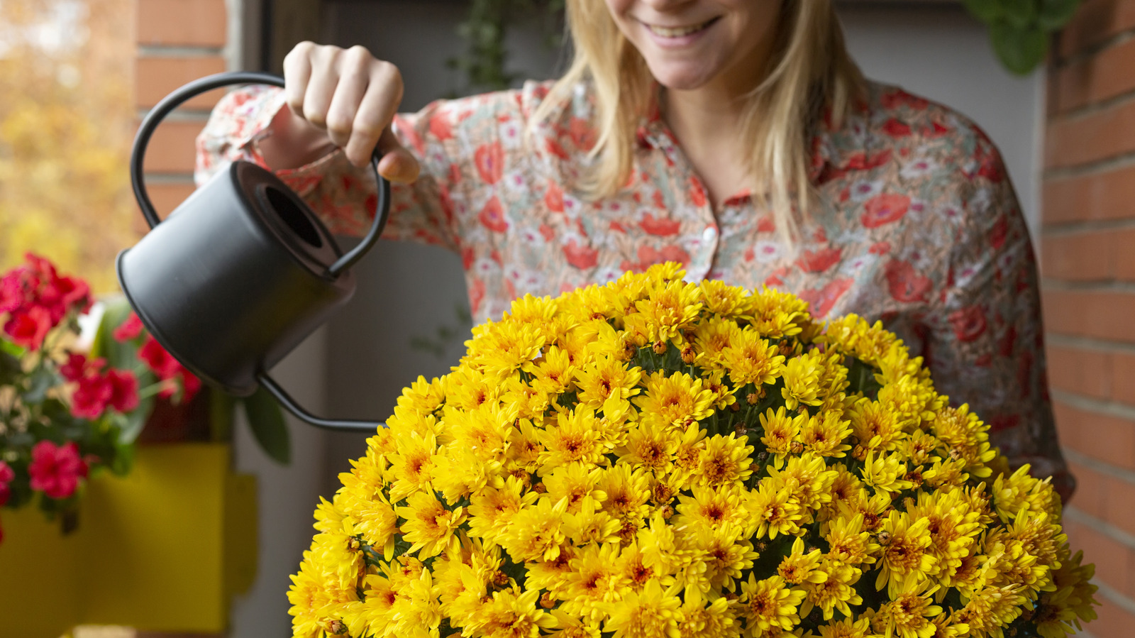 Forget mums: The edible plant alternative for colorful fall planters