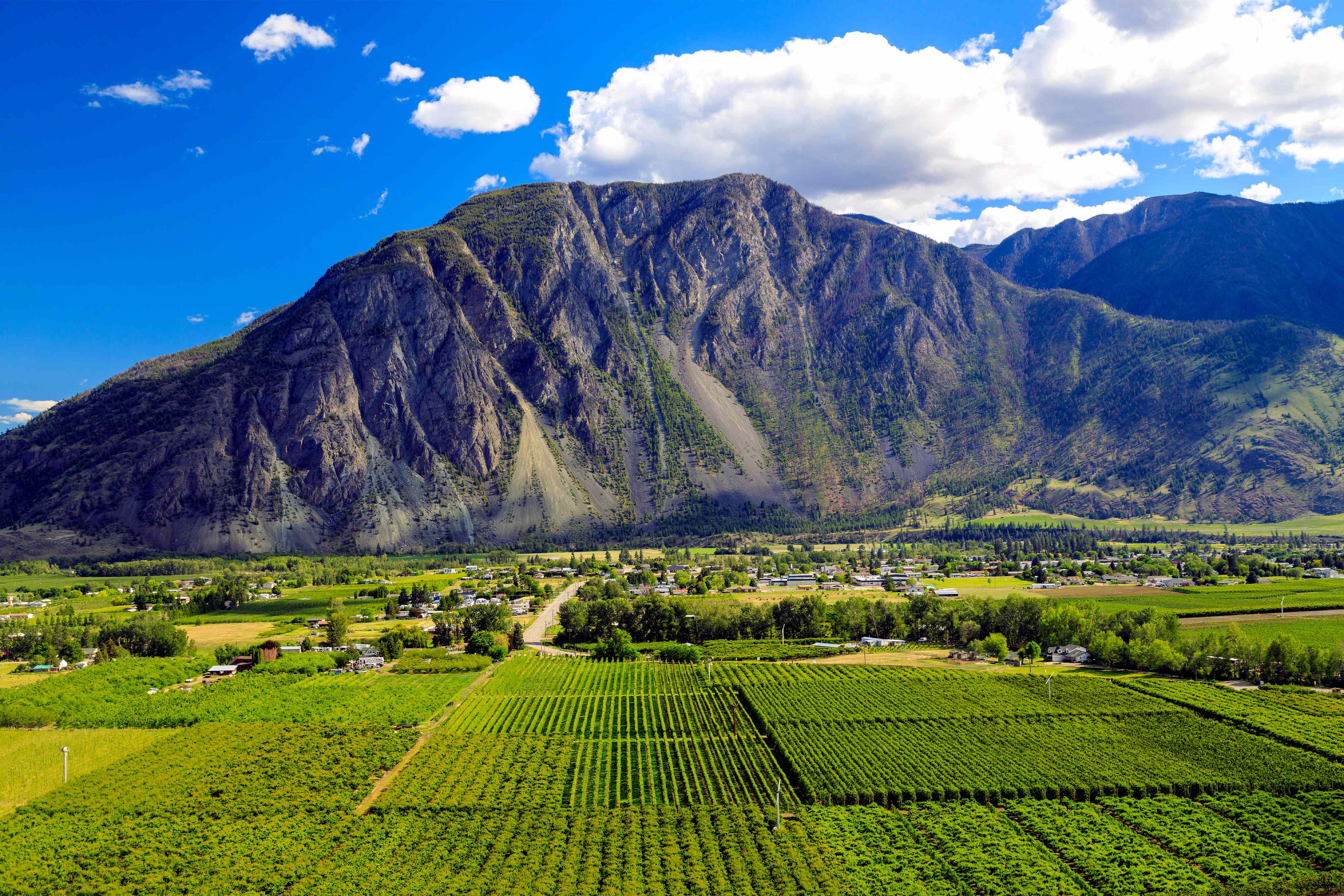 Discover the Flavors of British Columbia