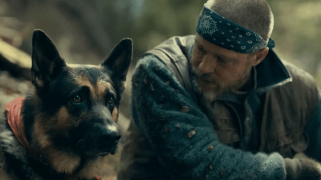 Brad Pitt Details Challenges of Filming Emotional Scenes With a Dog Actor in New Movie
