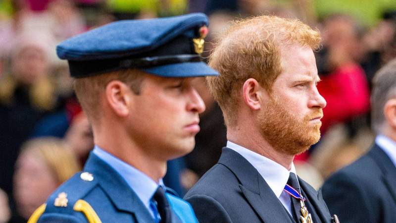 New Photo - Prince Harry 'Making Film' About Late Mother Princess Diana as 30th Anniversary of her Tragic Death Looms