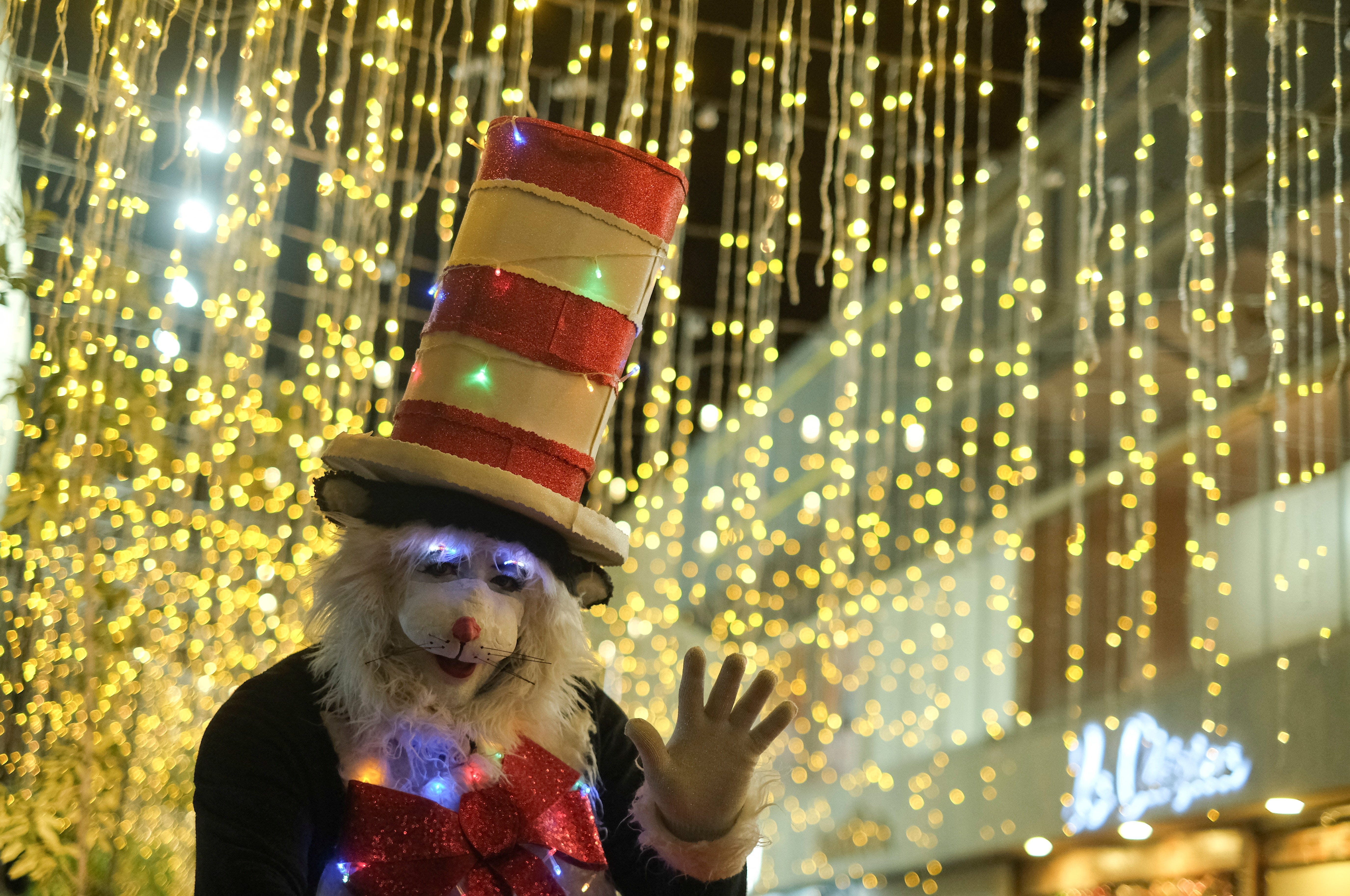 Viral Cat In The Hat Trend Reaches Georgia Schools AOL viral-cat-in-the-hat-trend-reaches-georgia-schools-aol