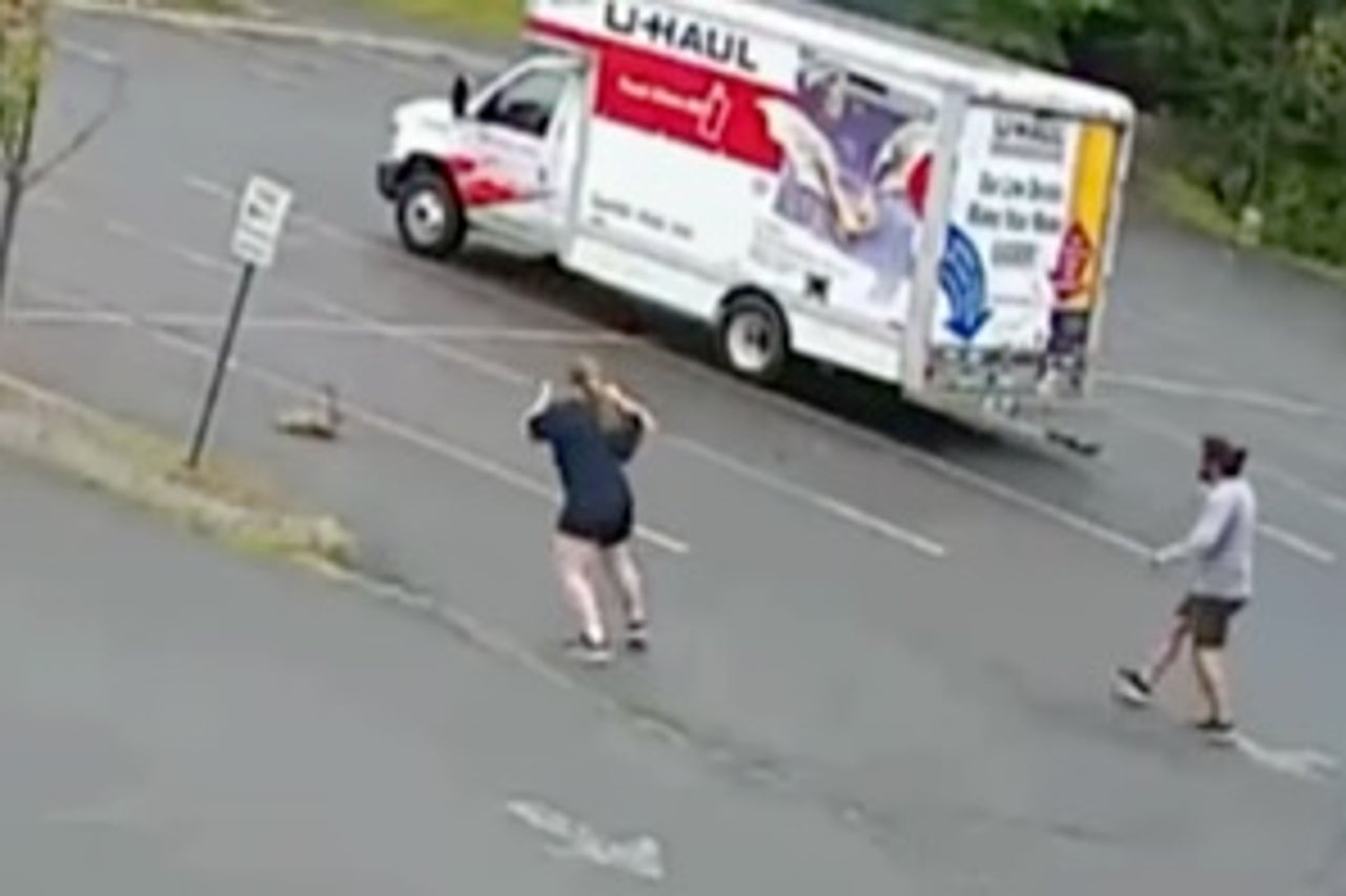 Mystery wild animal attacks three people near NH park; feared rabid
