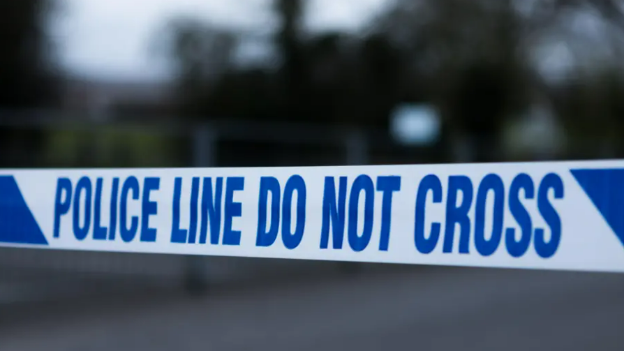 Murder investigation launched after body found