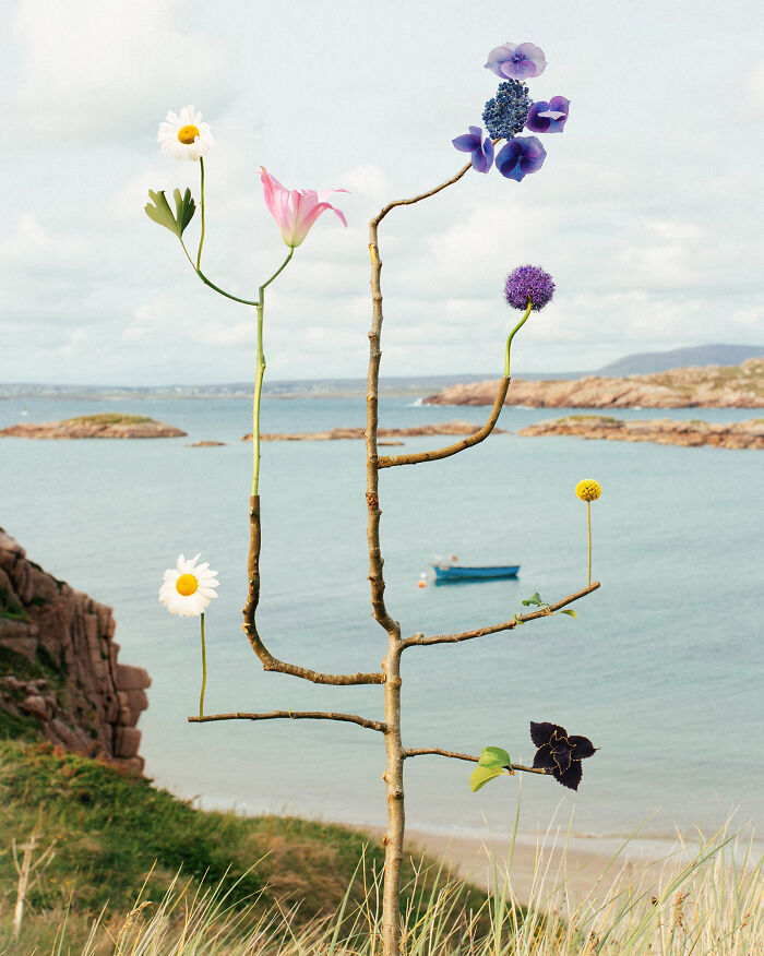 This Artist Made 26 Playful Freakabana-Inspired Compositions That