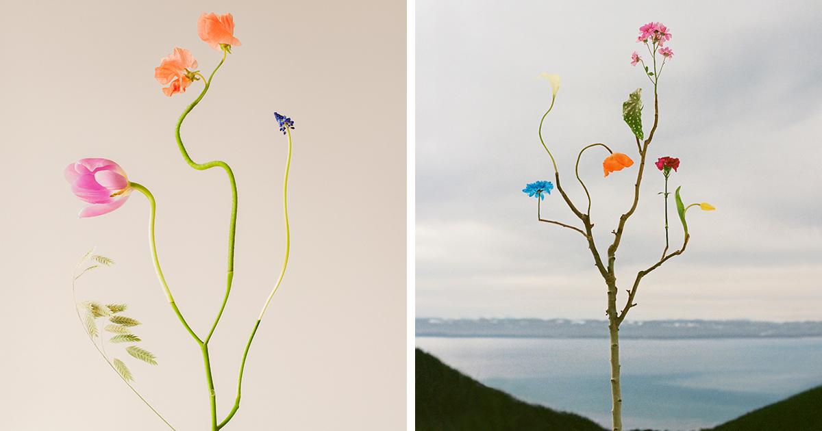 This Artist Made 26 Playful Freakabana-Inspired Compositions That