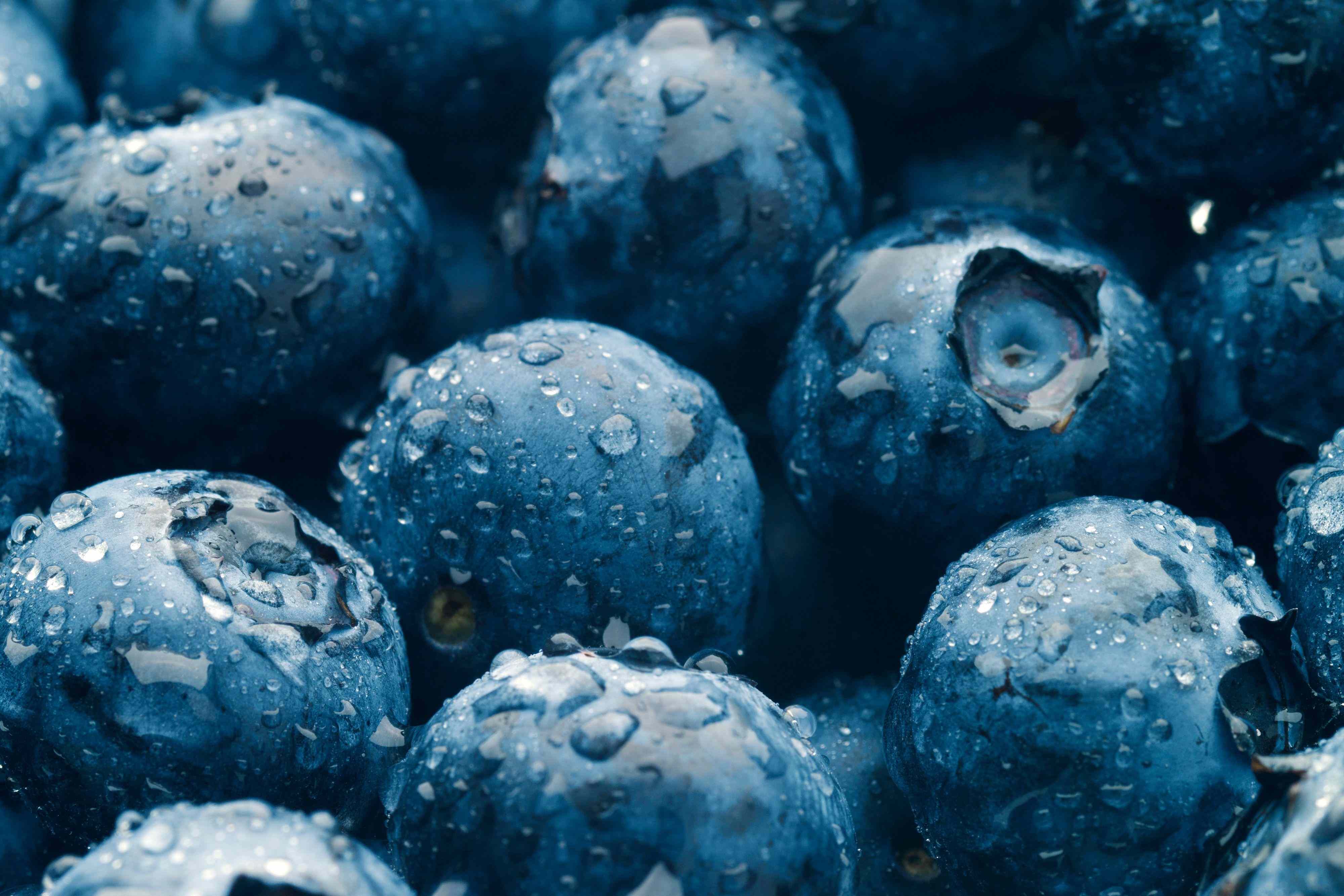 What Happens to Your Heart and Metabolic Health When You Eat Wild Blueberries
