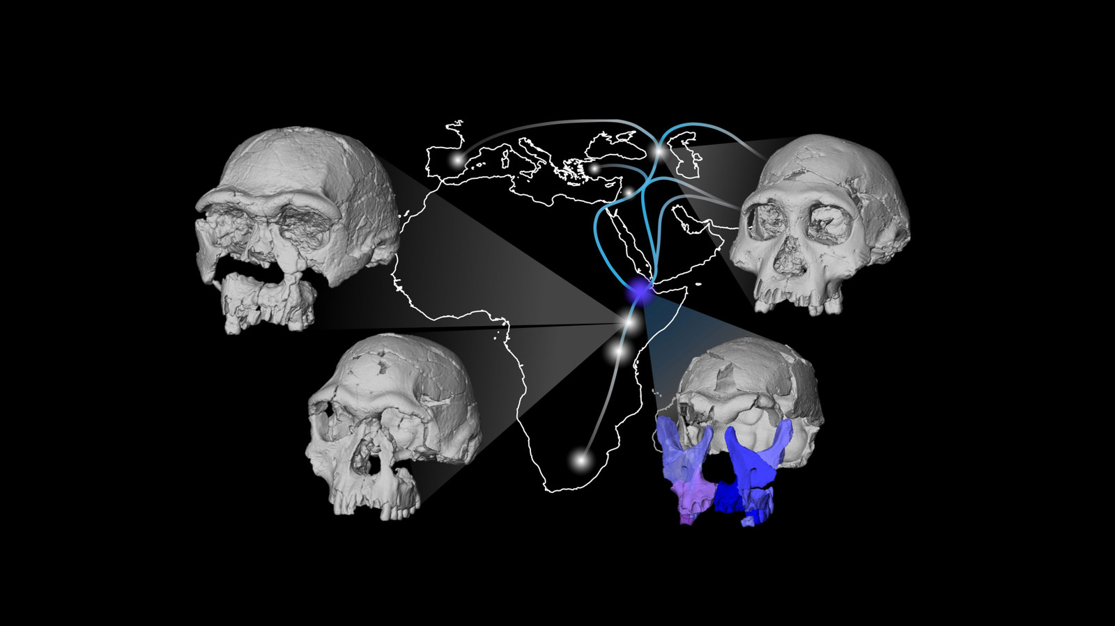 Scientists Reconstructed A 1.5 Million-Year-Old Face. What They Saw Complicates Evolution.