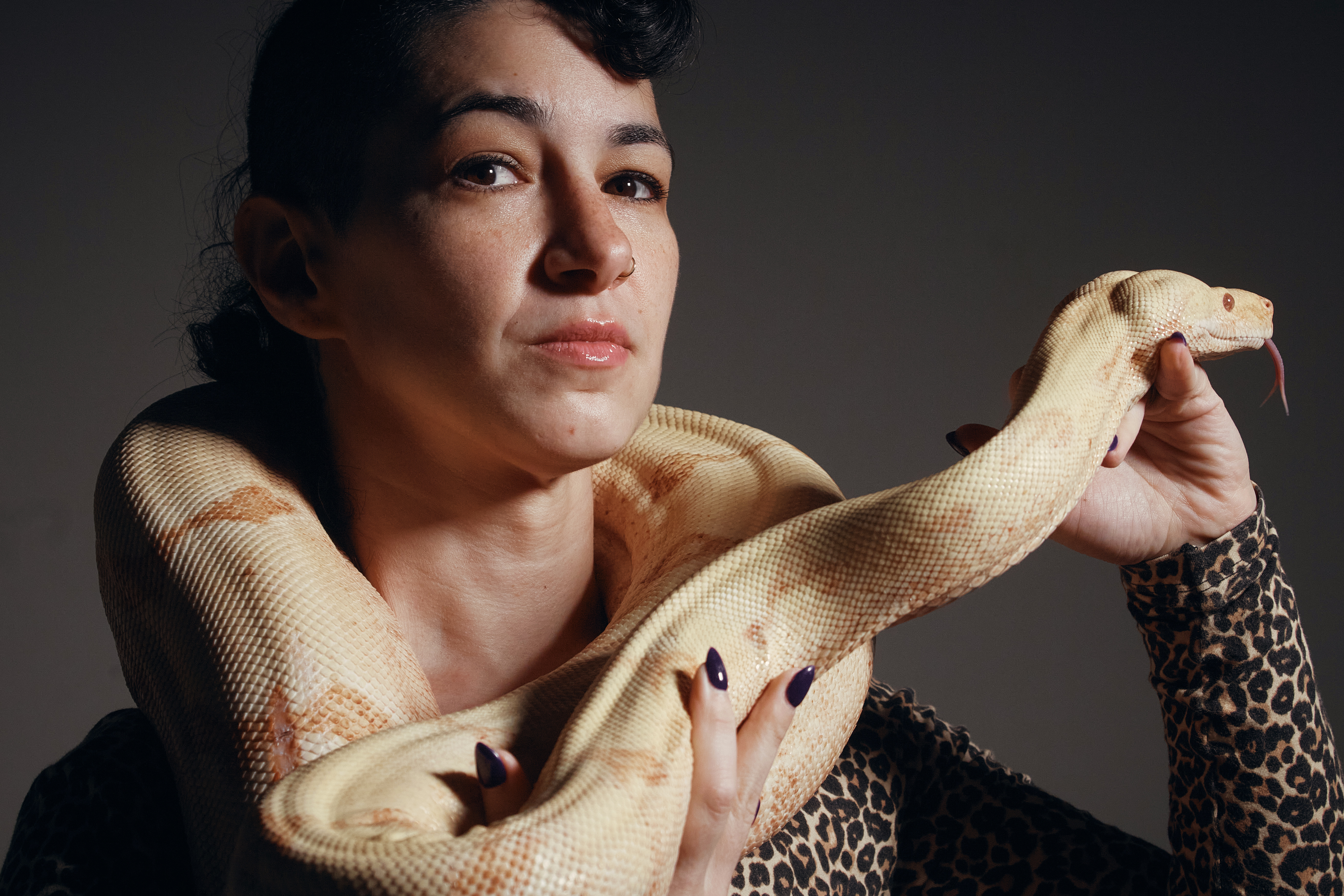 New Photo - Even snakes have to audition for the opera at the Met. Princess the boa constrictor got the part