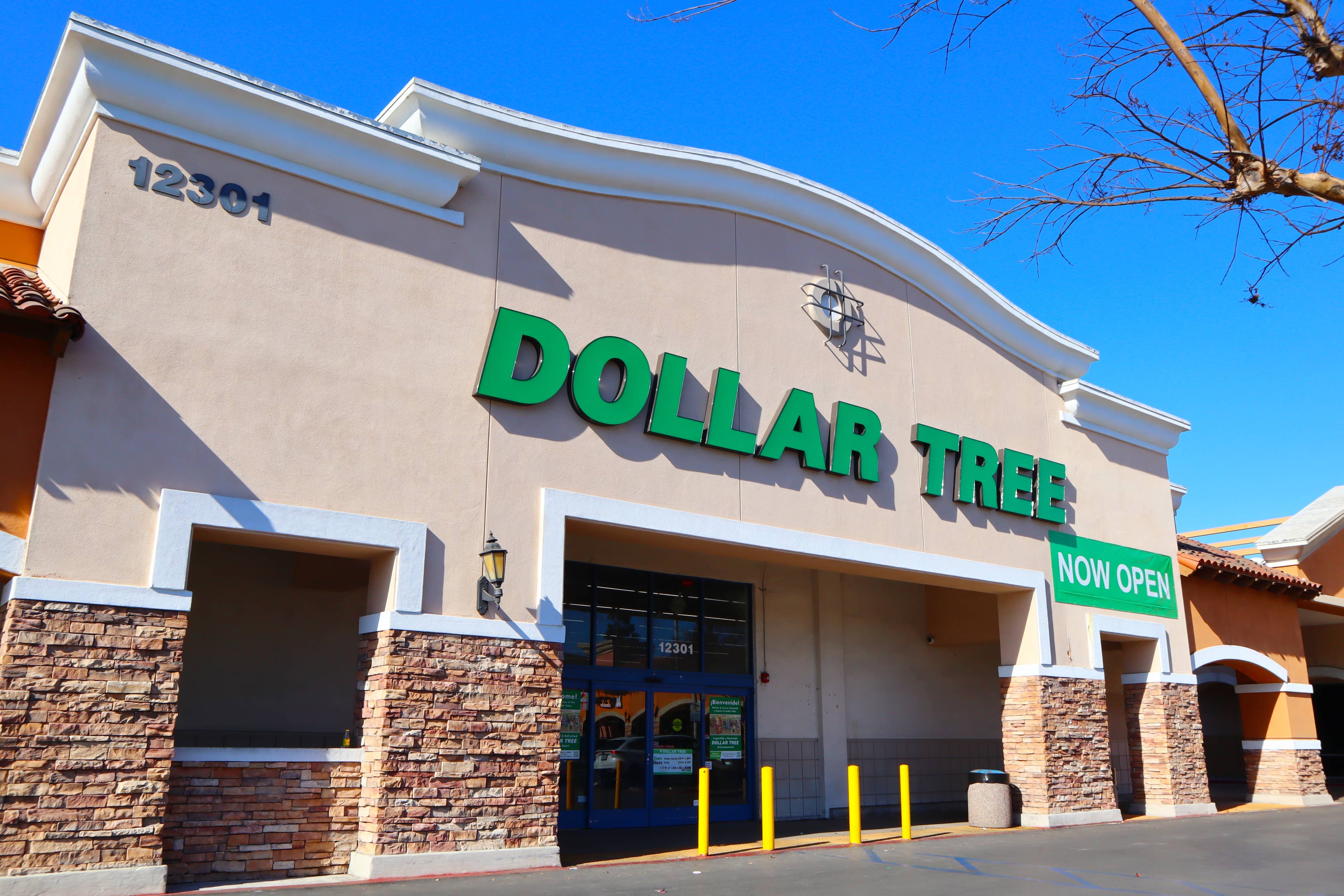 Discover Dollar Tree's $1.50 No-Stuffing Plush Toys for Mess-Free Dog Playtime
