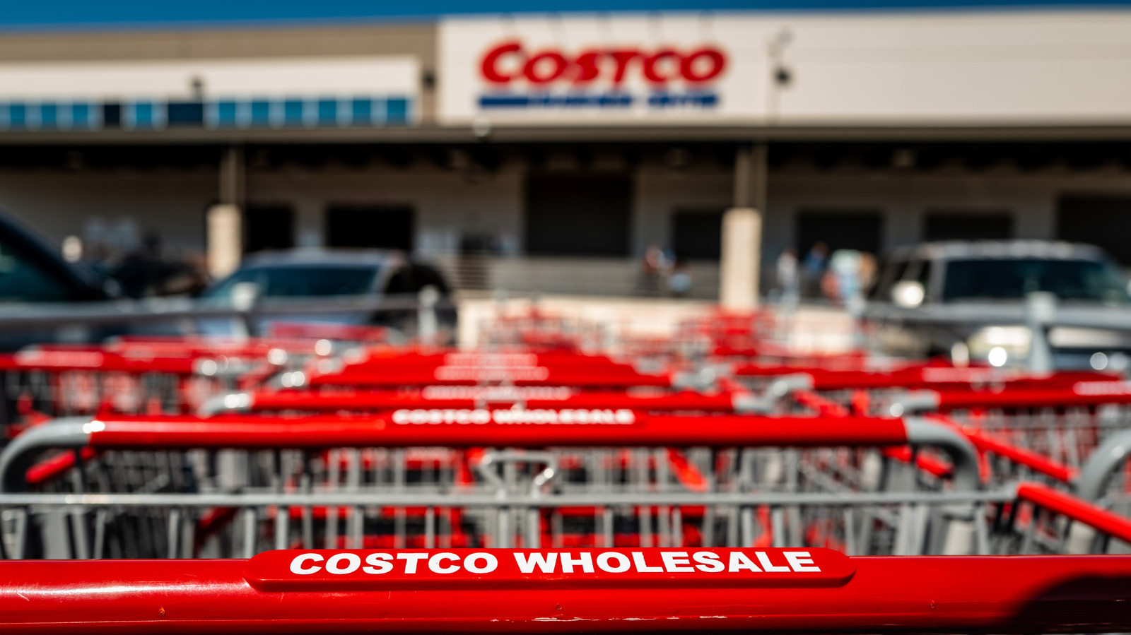 The Costco Products Professional Chefs Keep In Their Kitchens - AOL