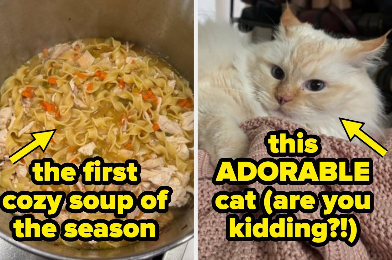 20 Wholesome Posts To Brighten Your Day When The World Feels Heavy