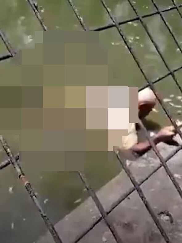 Zookeeper dies after horror crocodile attack trapped him in jaws for over an hour
