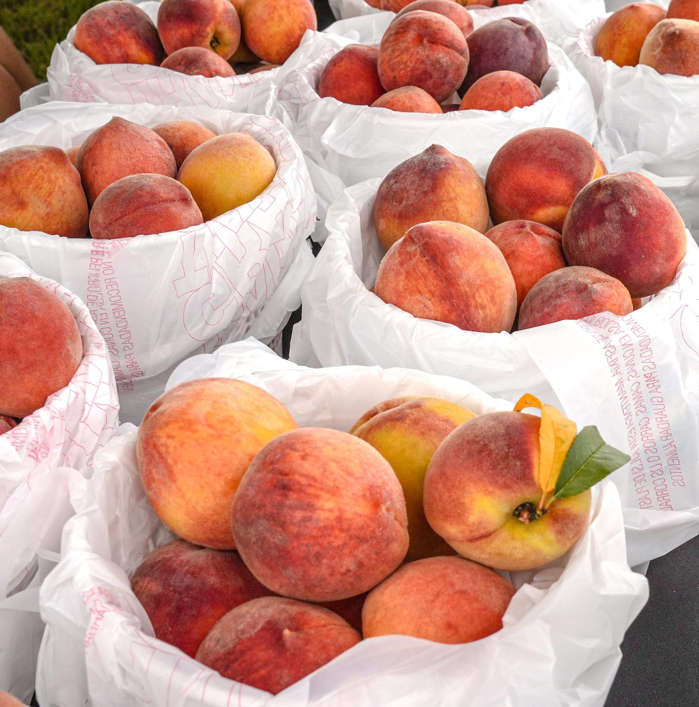 Climate change puts 10 Georgia foods at risk | Exclusive