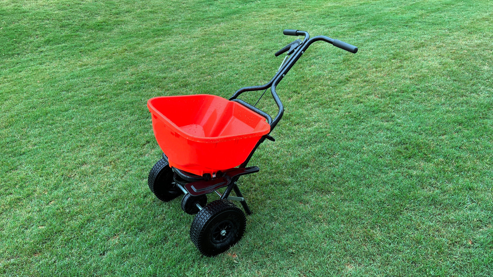 What's The Best Fertilizer For Bermuda Grass?