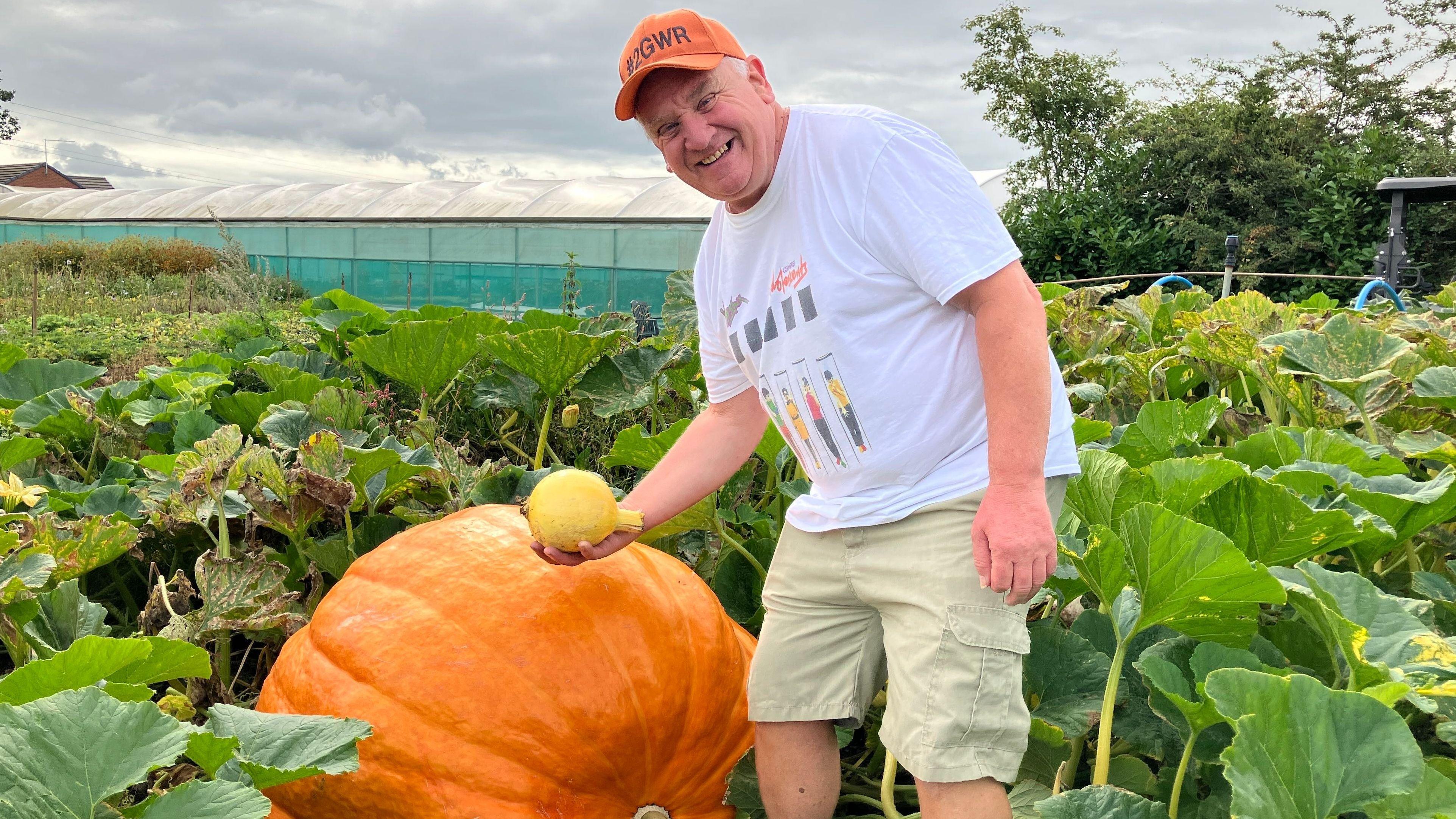 Giant pumpkin grower hopes to beat previous record - AOL