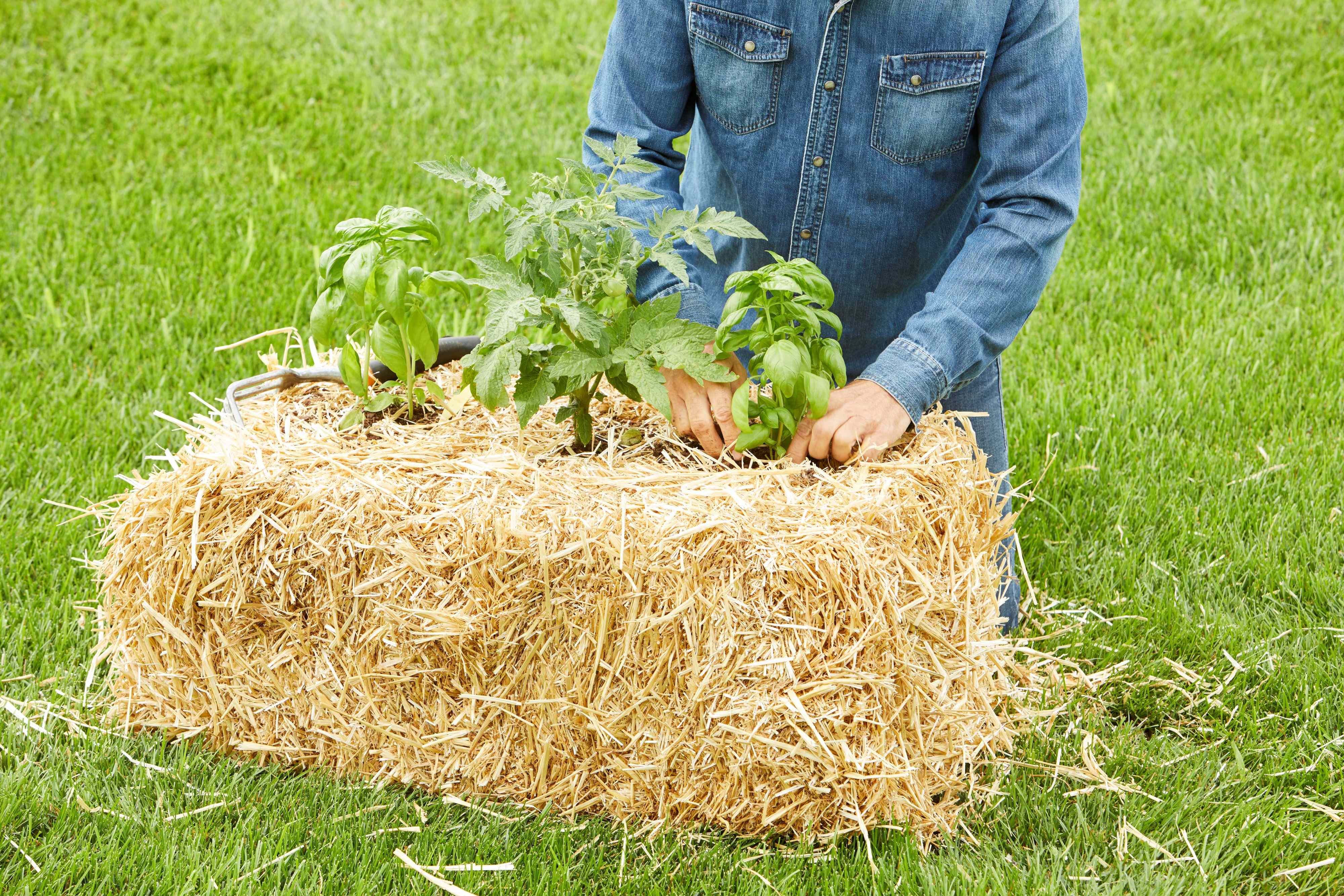 How to Make a Straw Bale Raised Garden Bed in 6 Simple Steps