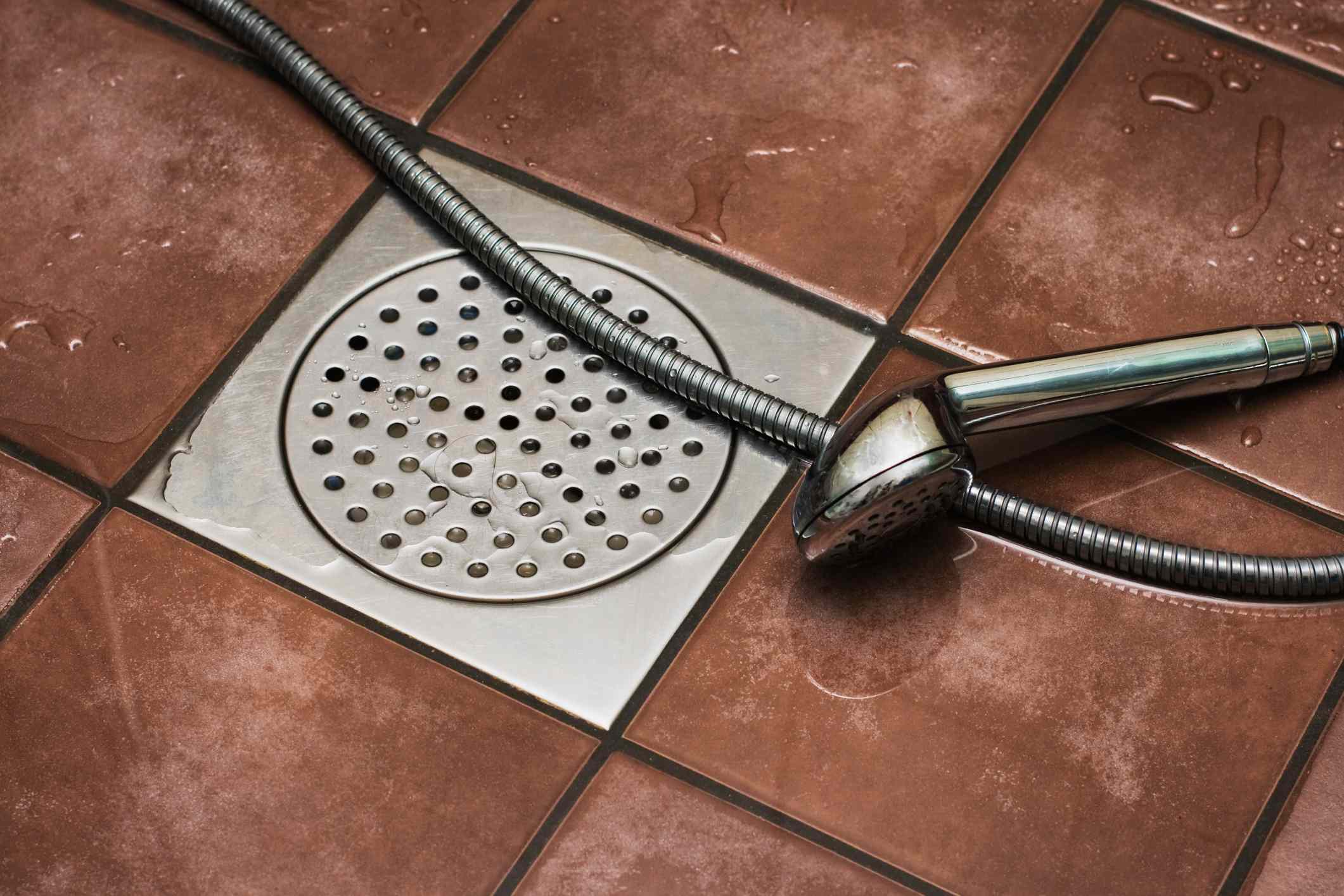 Yes, Bugs Can Crawl Up Through Your Shower Drain—Here's the One Thing Pest Pros Say to Do to Stop Them