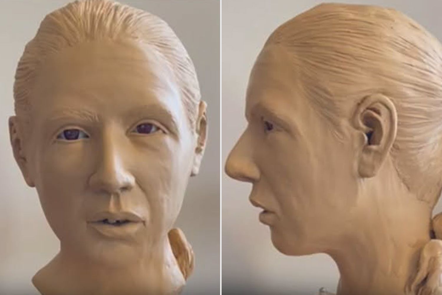 Remains Were Discovered in Park After Grave Was Desecrated. Officials Finally Identified Them as Woman Who Died in 1907