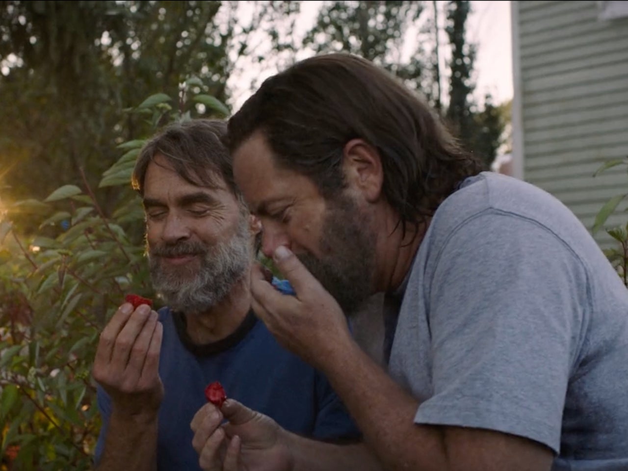 New Photo - Nick Offerman blasts Ben Shapiro over ‘insane’ critique of The Last of Us’ gay storyline