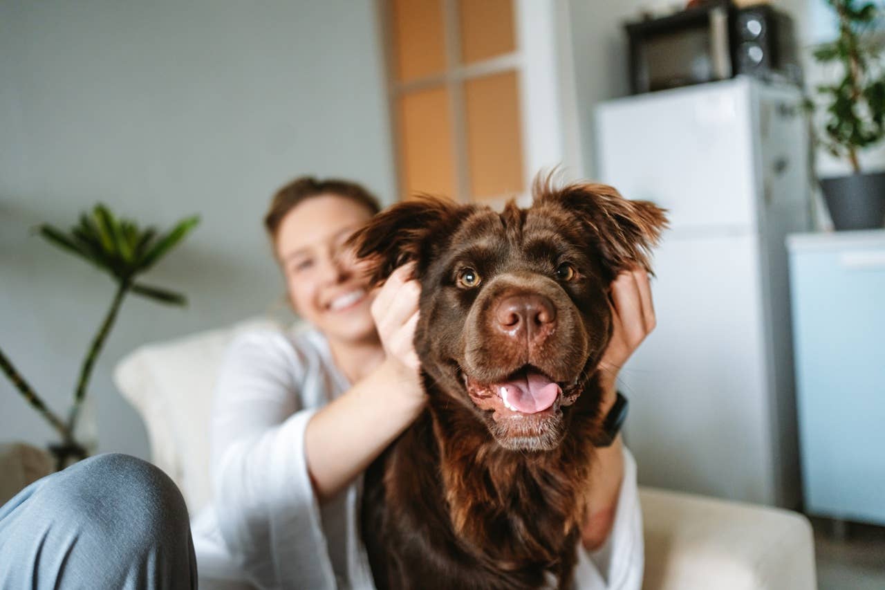 7 Words and Phrases That'll Make Your Dog Feel Happy and Confident, Say Experts