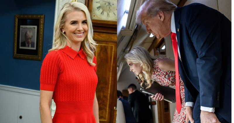 Trump Aide Natalie Harp's Brother Speaks Out After New Trump Book Claims