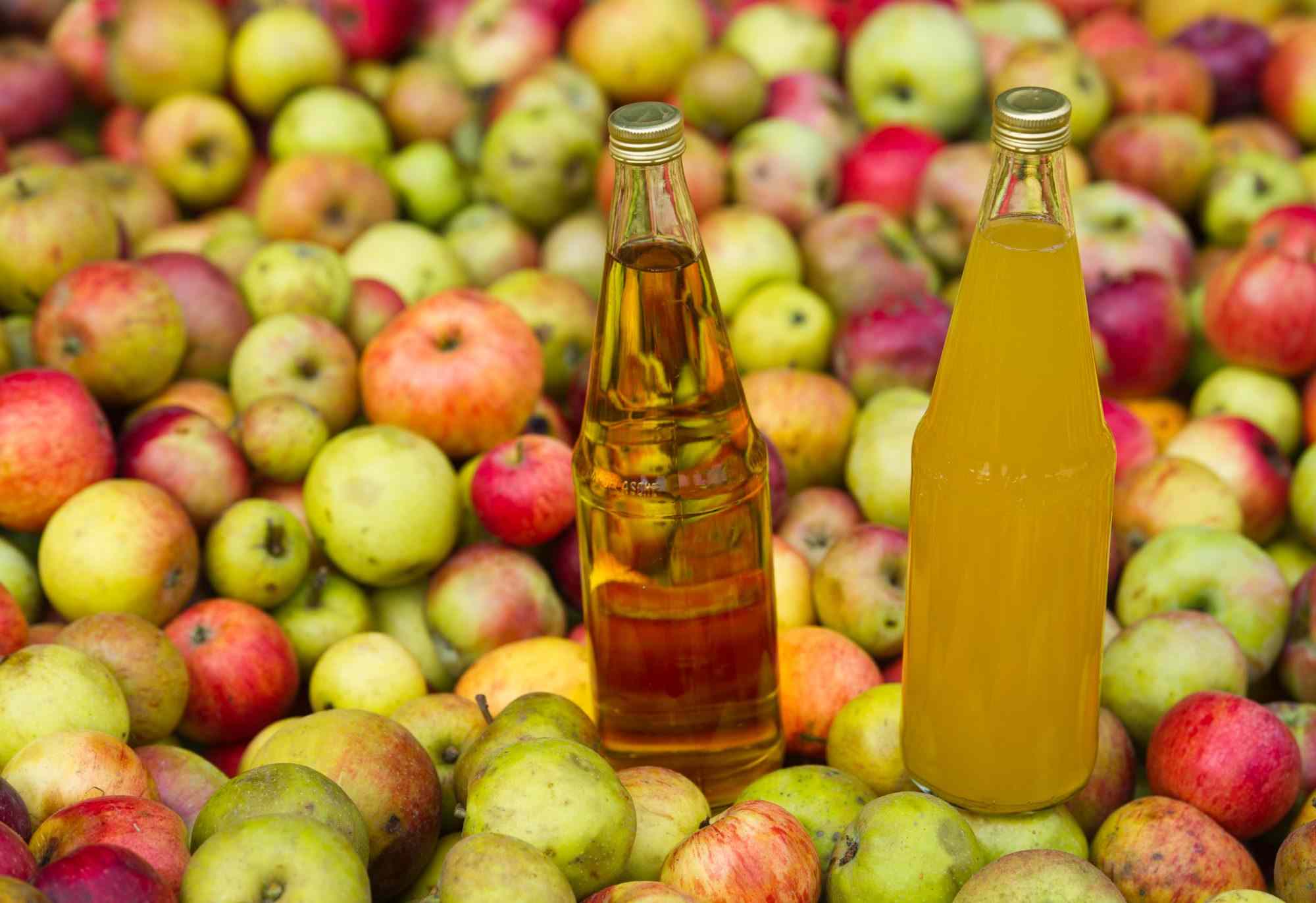 Apple Cider And Apple Juice Aren't The Same—Here's The Difference