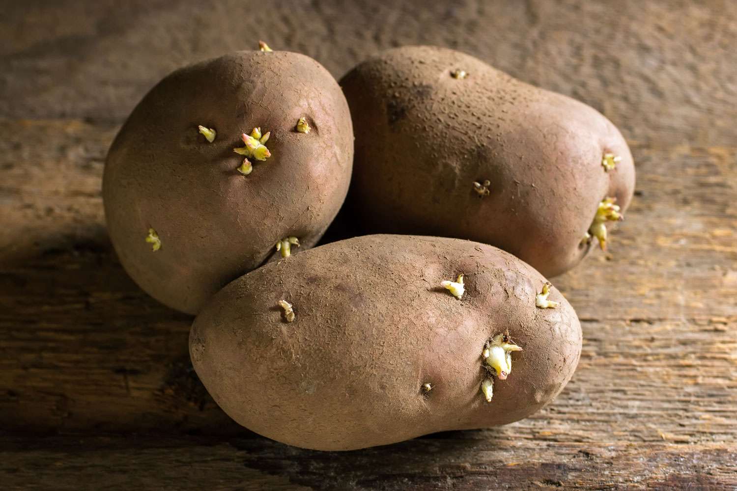 Can You Eat Sprouted Potatoes? Here's What Experts Say