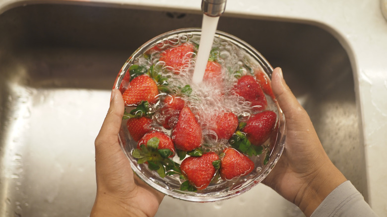 Container Warning Signs The Huge Warning Sign Not To Buy Those Supermarket Strawberries - AOL