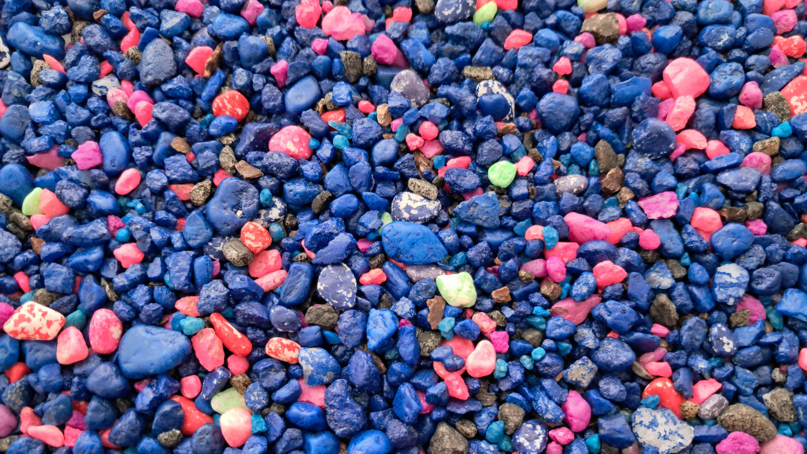Give Houseplants A Pop Of Color With This Creative Aquarium Gravel Project