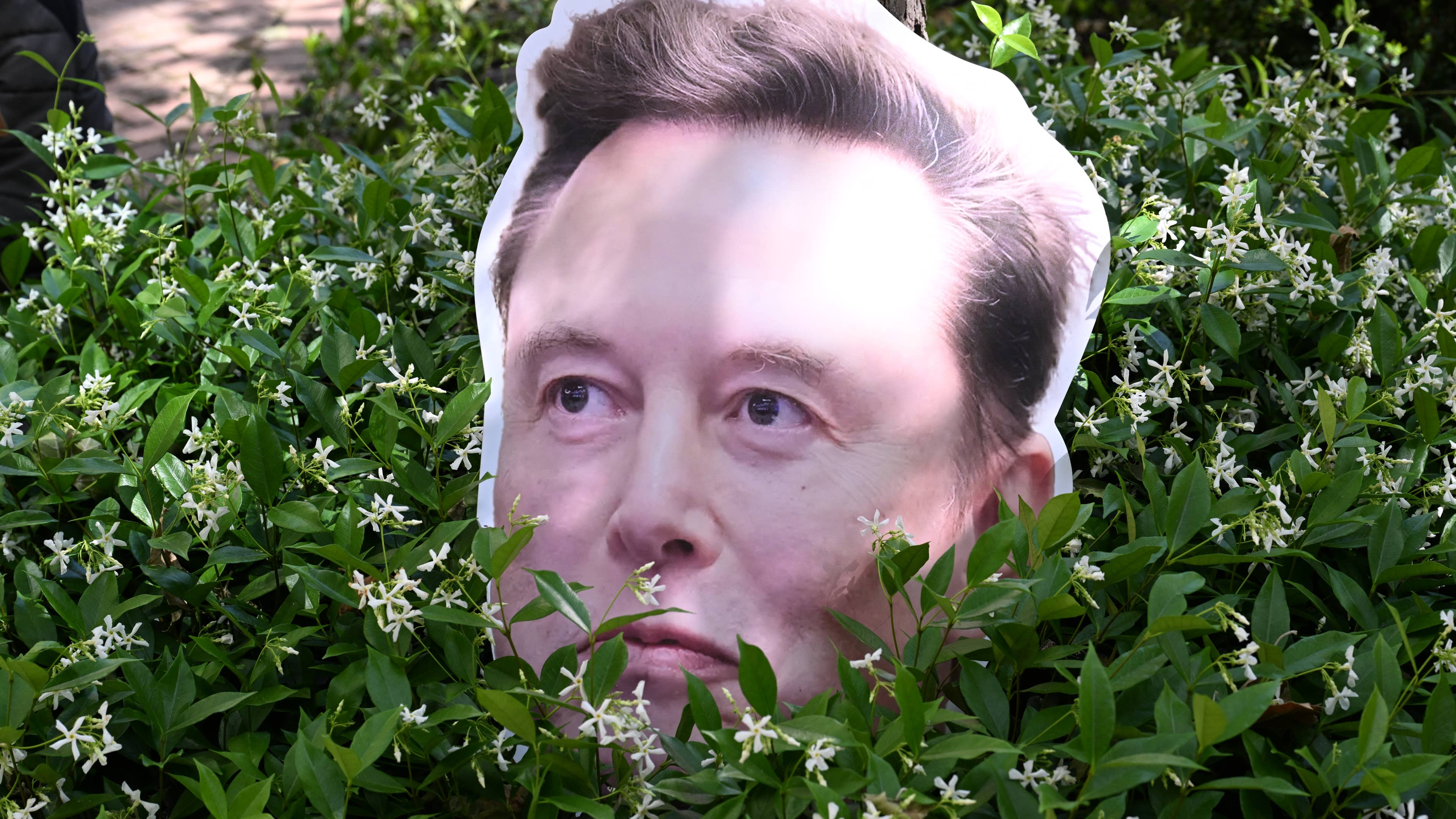Elon Musk's Lawyer Threatens Legal Action Against Documentary After Venice Premiere