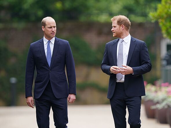 Prince Harry to make bombshell 'new film' that will 'infuriate' Prince William