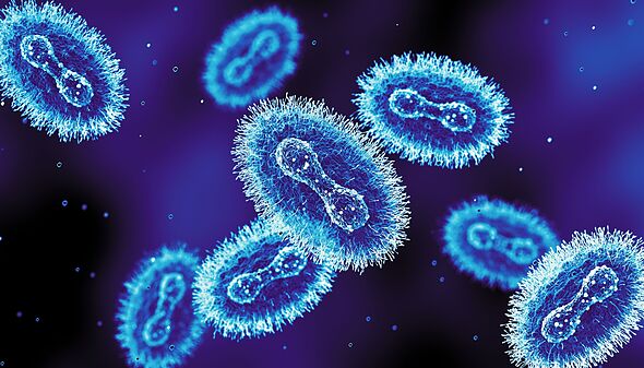 Monkeypox case confirmed in Costa Del Sol with patient in Marbella hospital