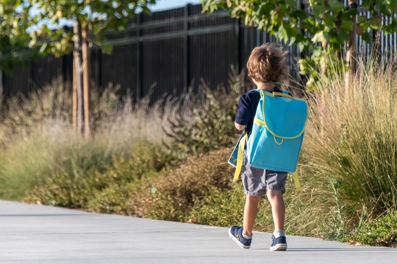 Mum put on child abuse register and given suspended sentence after letting son walk to pond