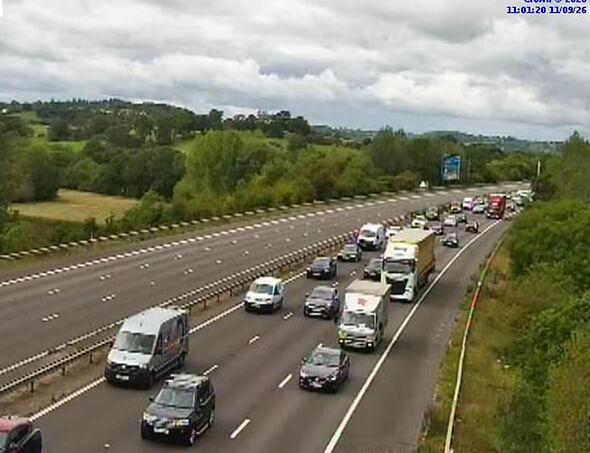 M42 tragedy as pedestrian dies in 'serious collision' with car