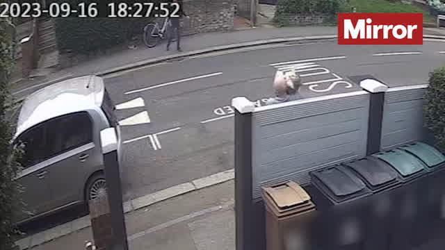 'My three-year mission to track down dog which mauled me as Mirror praised by judge'