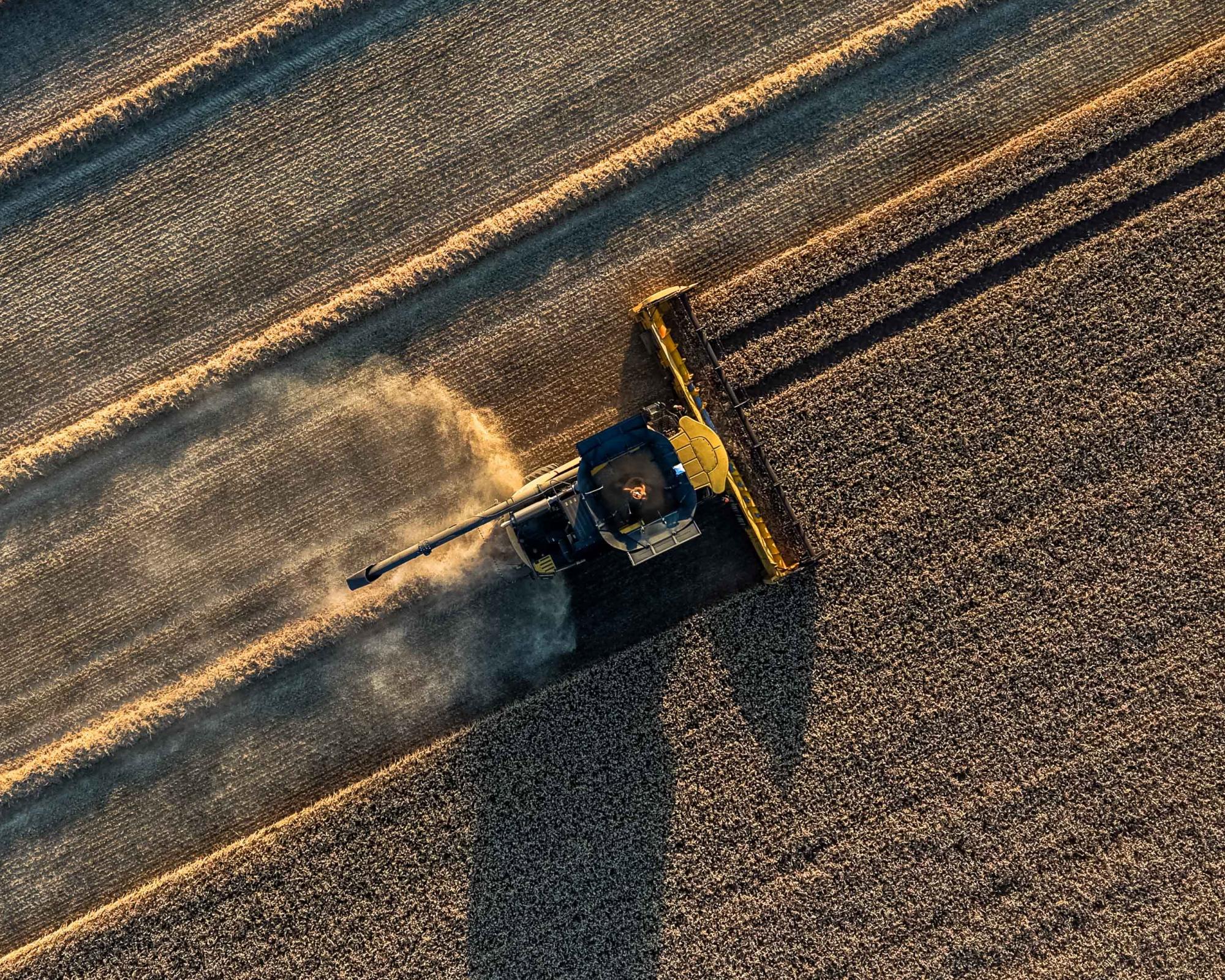 Weatherwatch: soil moisture deficit – how dry are the UK's thirsty soils?