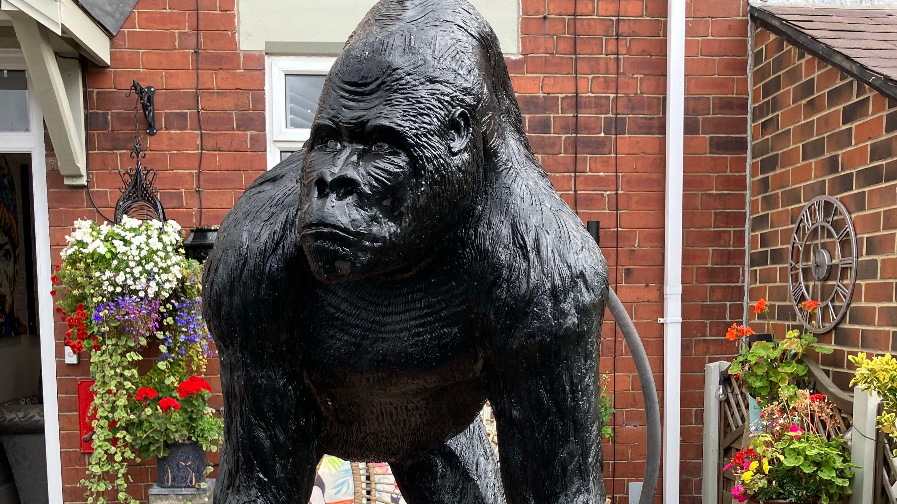 Famed gorilla statue returns to Wakefield garden