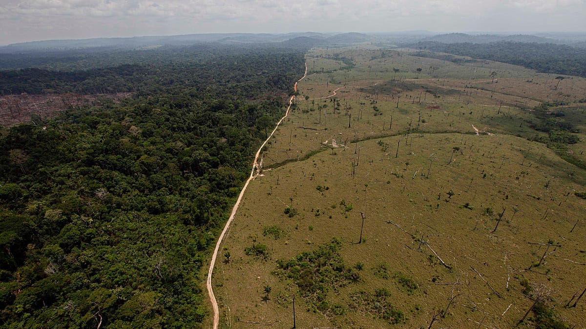 ‘Recovery becomes self-propelling': Five positive tipping points that can save the world