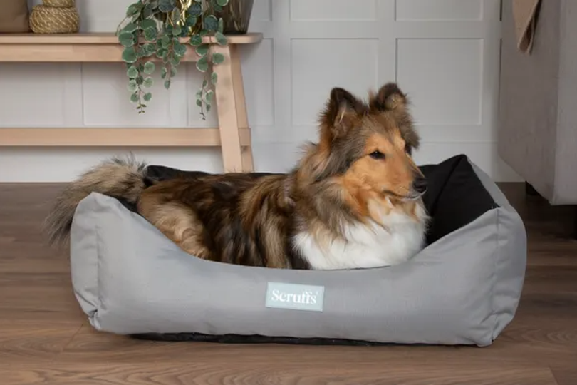 Dunelm's water resistant dog bed comes in 4 colours and is a must-have for muddy walks