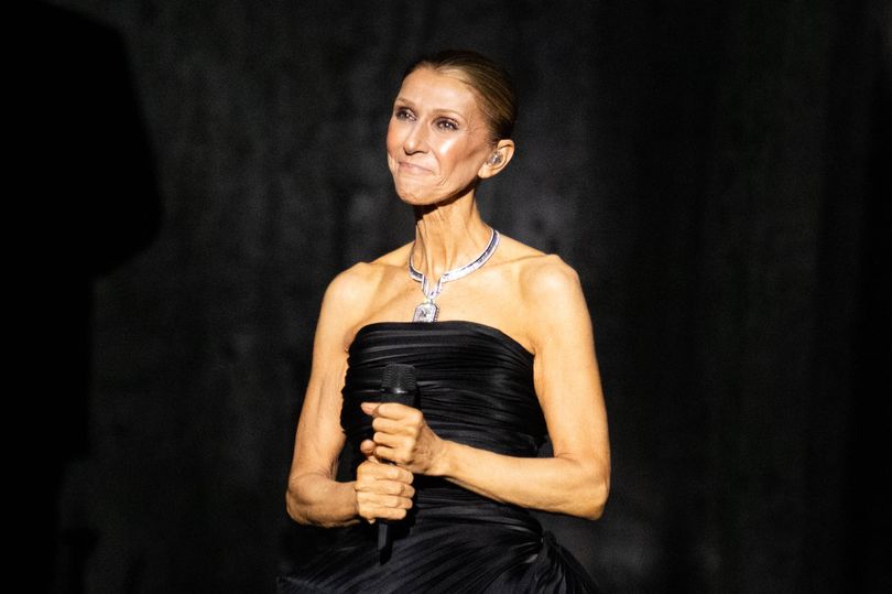 Celine Dion fans hit back at trolls who say she 'doesn't sound the same' at comeback gig