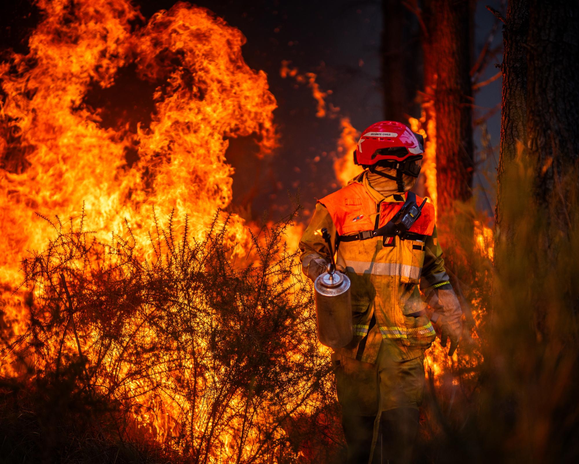 France confronts arson problem after devastating summer of wildfires