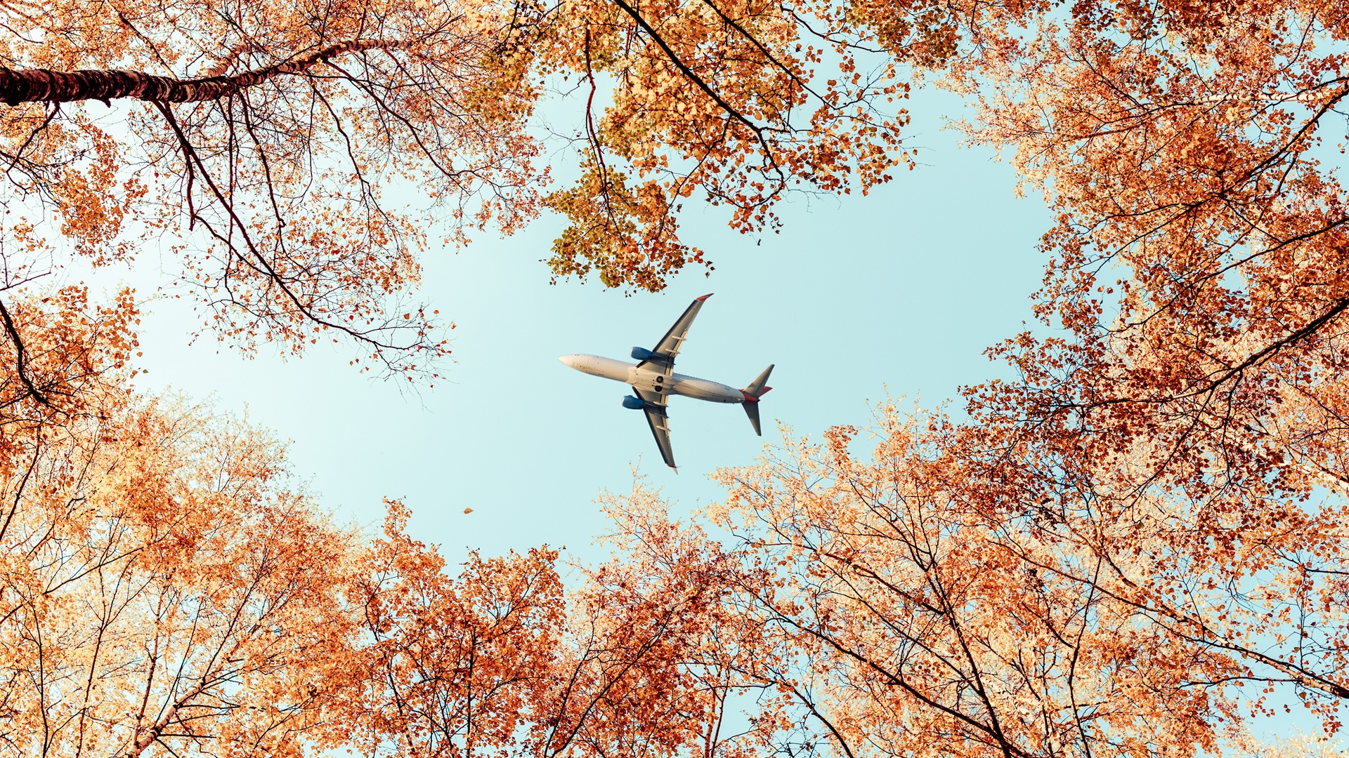 Save Up to 60% on Fall Flights — The Best Times To Book - AOL