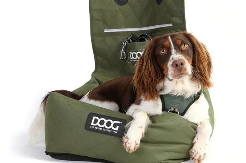 Dirt resistant quilted pet car seat hailed by dog owners as 'best by far' for travelling