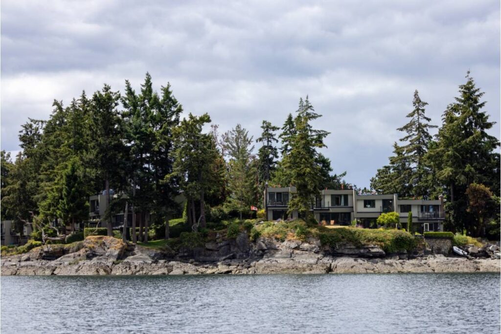 Homeowner Says His Neighbor Blamed a Dented Pickup for Wanting 50-Year-Old Pine Trees Removed, Then Started Planning the Next Cut - AOL